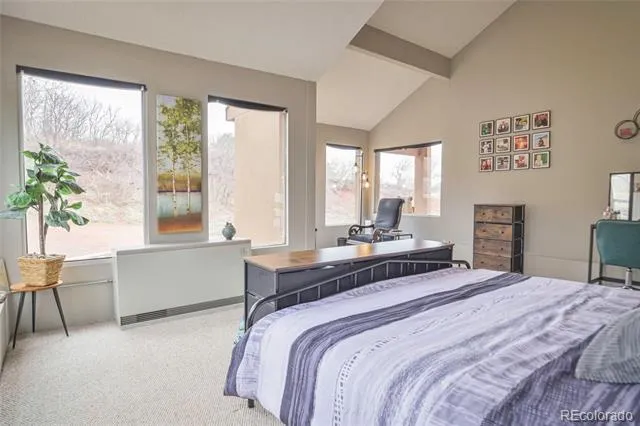 Address Not Shown La Veta, CO 81055