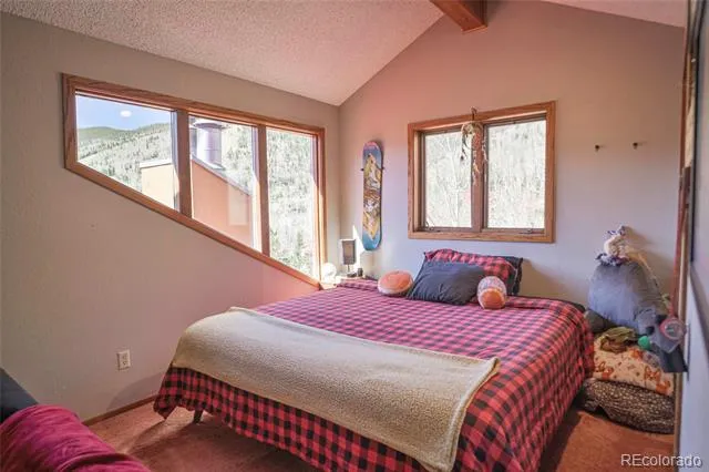 Address Not Shown La Veta, CO 81055