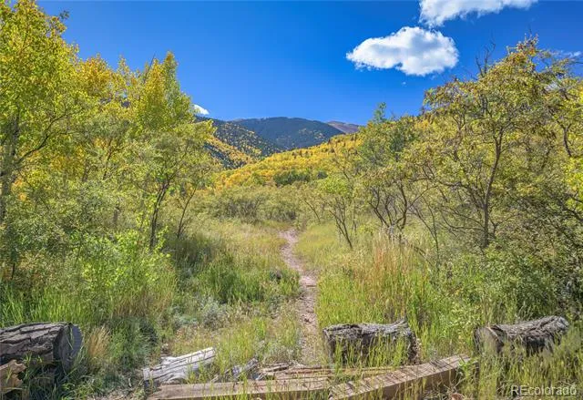 Address Not Shown La Veta, CO 81055