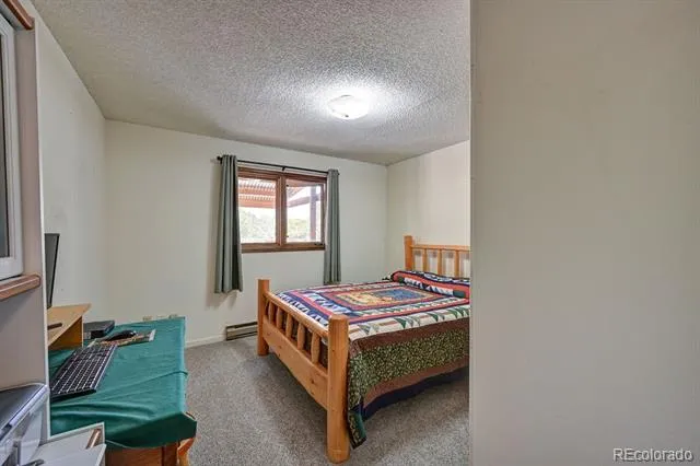 Address Not Shown Buena Vista, CO 81211