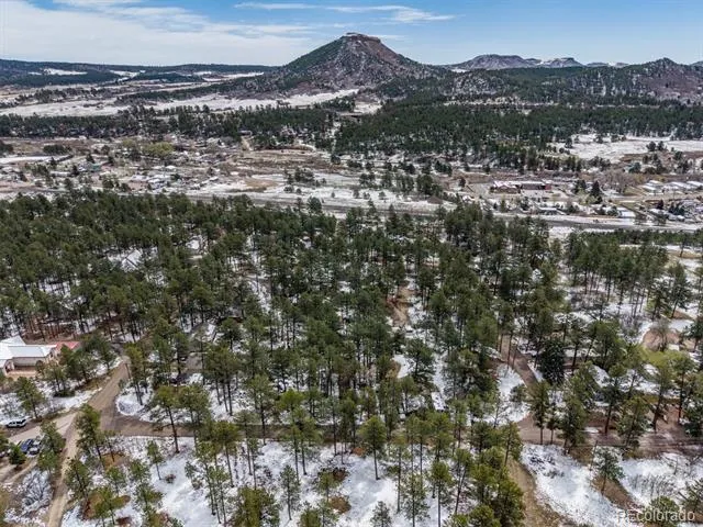 9231 Curtis Road Larkspur, CO 80118