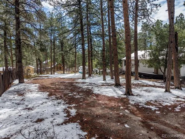 9231 Curtis Road Larkspur, CO 80118
