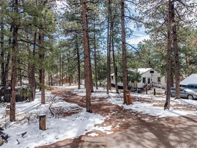 9231 Curtis Road Larkspur, CO 80118