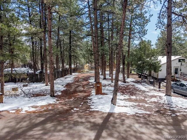 9231 Curtis Road Larkspur, CO 80118