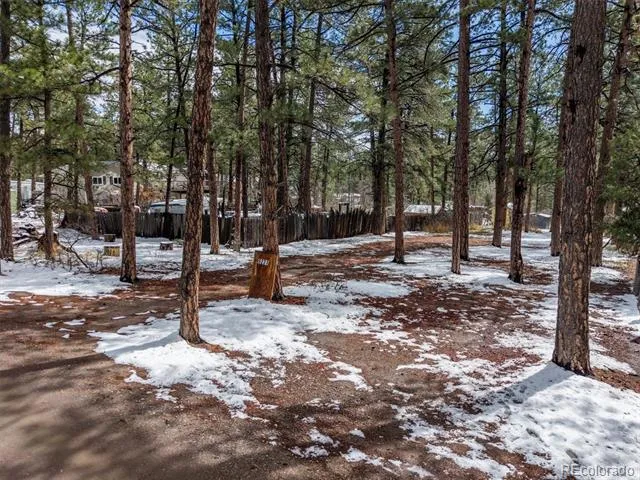 9231 Curtis Road Larkspur, CO 80118