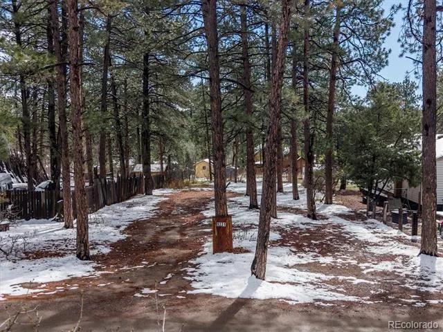 9231 Curtis Road Larkspur, CO 80118