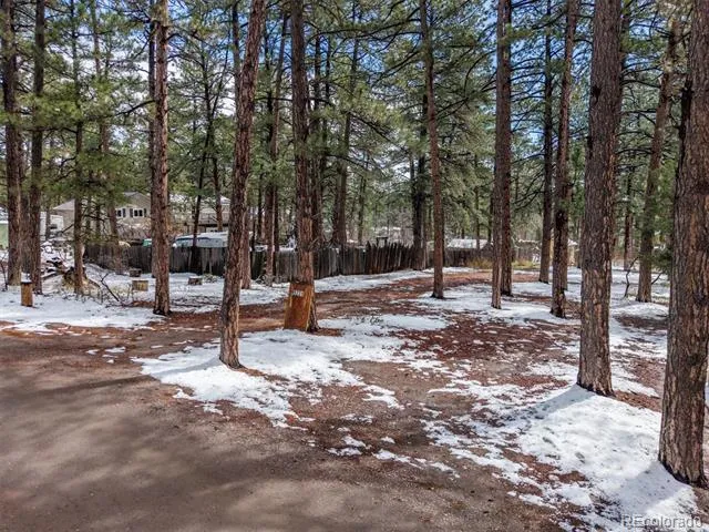 9231 Curtis Road Larkspur, CO 80118