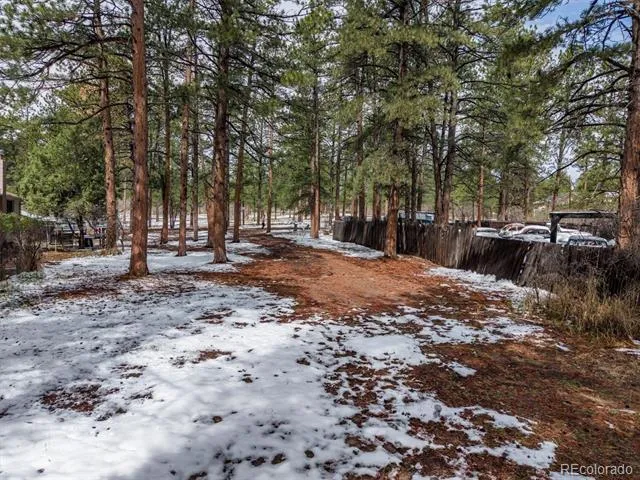 9231 Curtis Road Larkspur, CO 80118