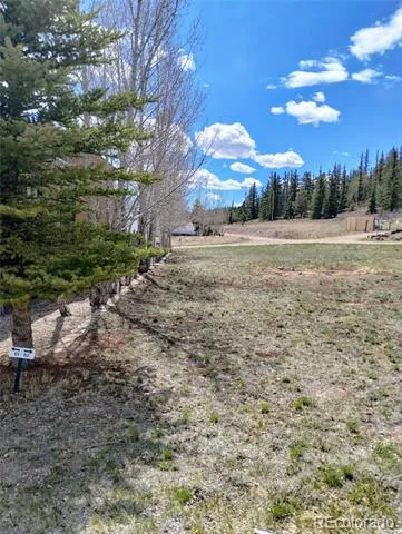 122 Coach Lane Hartsel, CO 80449