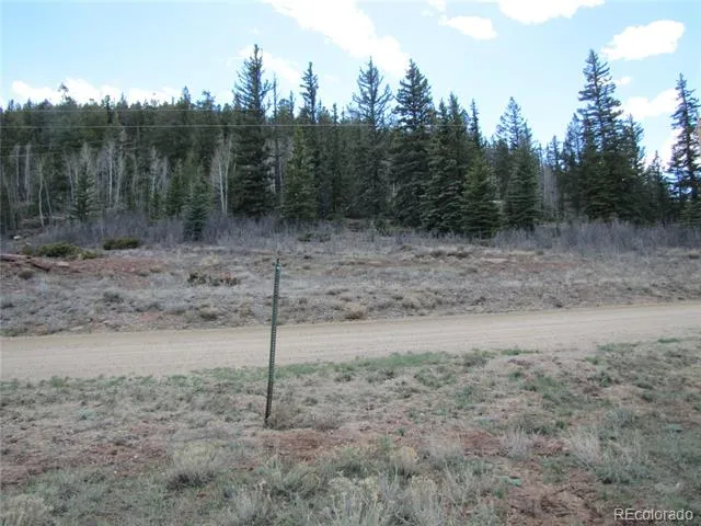 122 Coach Lane Hartsel, CO 80449