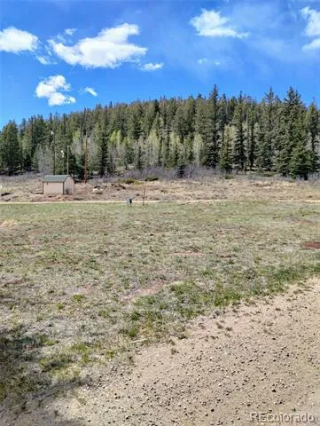 122 Coach Lane Hartsel, CO 80449