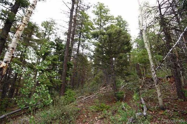 LOT 6077 Vreeland Road San Luis, CO 81152