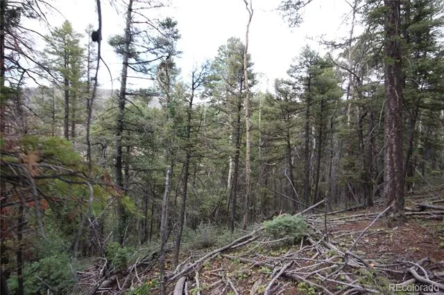 LOT 6077 Vreeland Road San Luis, CO 81152