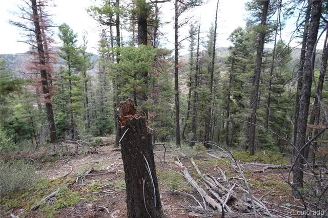 LOT 6077 Vreeland Road San Luis, CO 81152