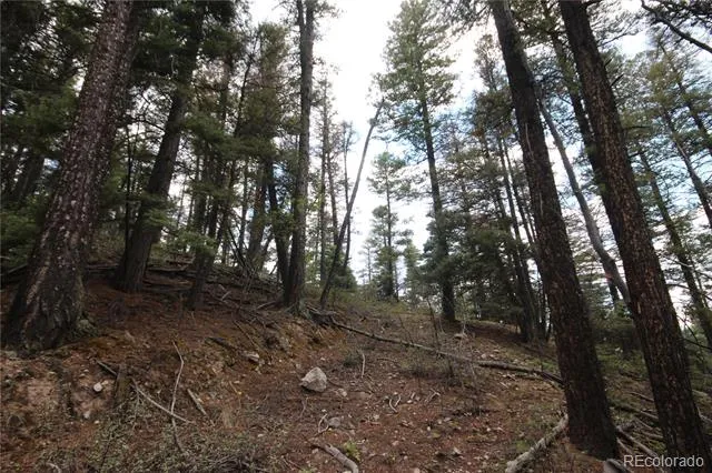 LOT 6077 Vreeland Road San Luis, CO 81152