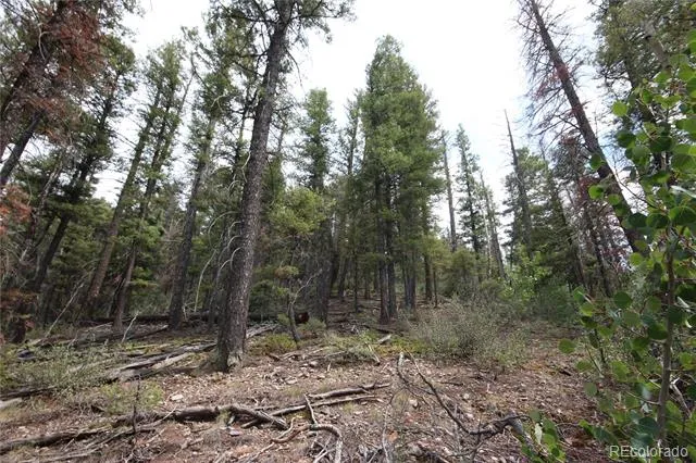 LOT 6077 Vreeland Road San Luis, CO 81152