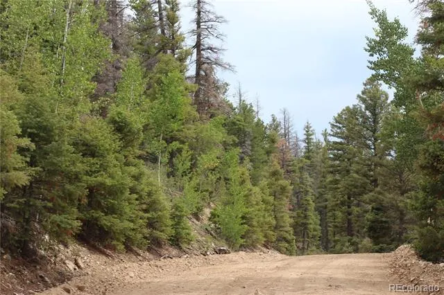 LOT 6077 Vreeland Road San Luis, CO 81152