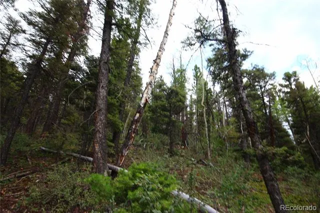 LOT 6077 Vreeland Road San Luis, CO 81152