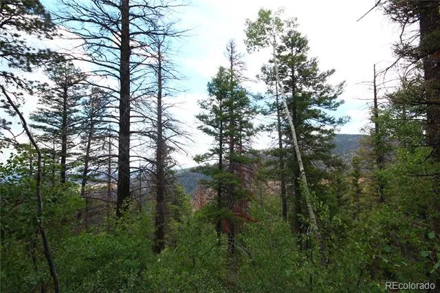 LOT 6077 Vreeland Road San Luis, CO 81152