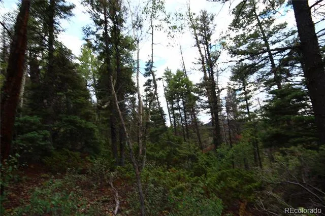 LOT 6077 Vreeland Road San Luis, CO 81152