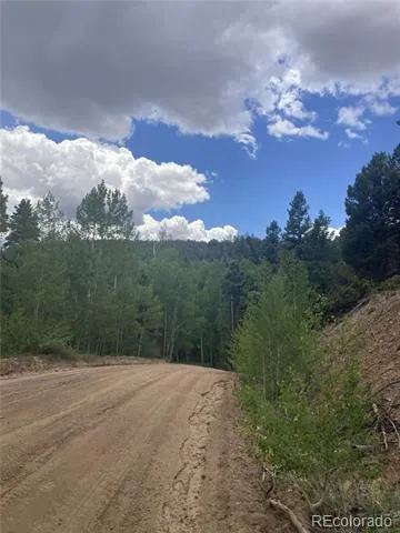 LOT 6785 Starkweather Road San Luis, CO 81152