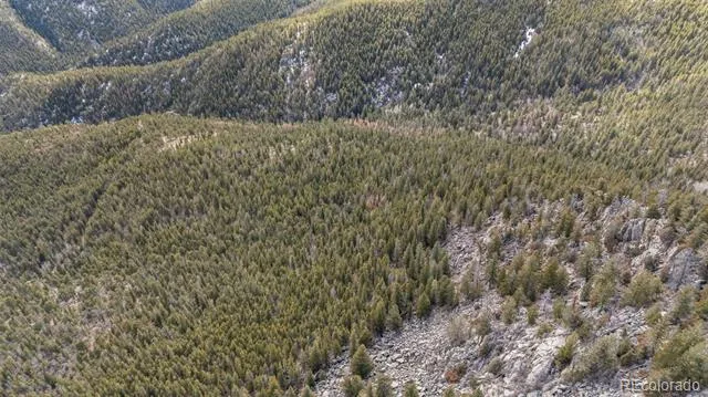 Alps Mountain Idaho Springs, CO 80452