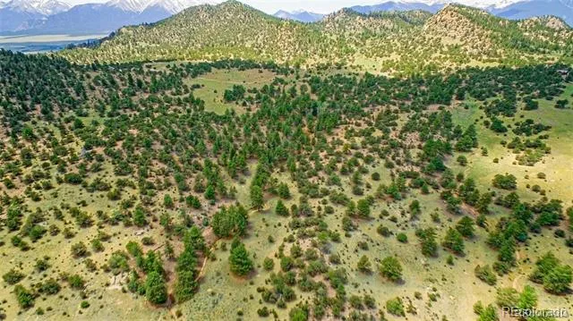 Lot 8 Big Sandy Estaes Buena Vista, CO 81211