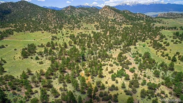 Lot 8 Big Sandy Estaes Buena Vista, CO 81211