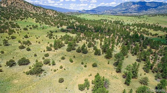 Lot 8 Big Sandy Estaes Buena Vista, CO 81211