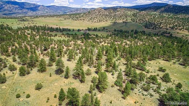Lot 8 Big Sandy Estaes Buena Vista, CO 81211