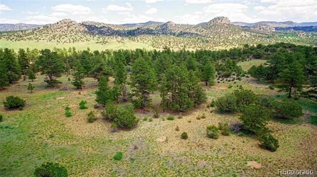 Lot 8 Big Sandy Estaes Buena Vista, CO 81211