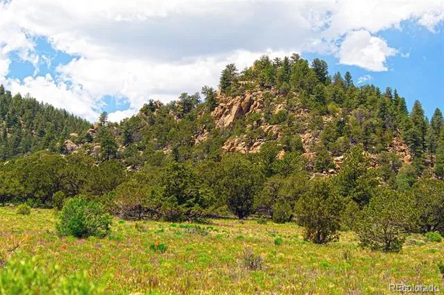 Lot 8 Big Sandy Estaes Buena Vista, CO 81211