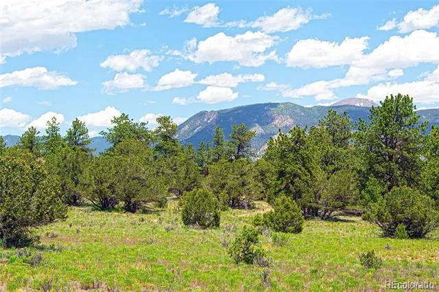 Lot 8 Big Sandy Estaes Buena Vista, CO 81211