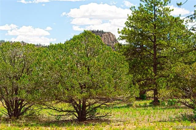 Lot 8 Big Sandy Estaes Buena Vista, CO 81211