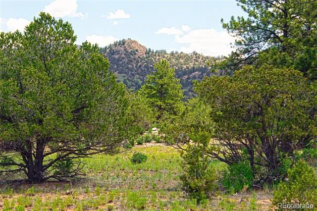 Lot 8 Big Sandy Estaes Buena Vista, CO 81211