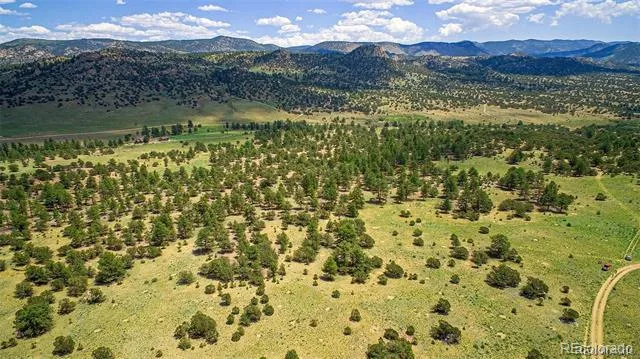 Lot 8 Big Sandy Estaes Buena Vista, CO 81211