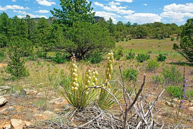 Lot 8 Big Sandy Estaes Buena Vista, CO 81211
