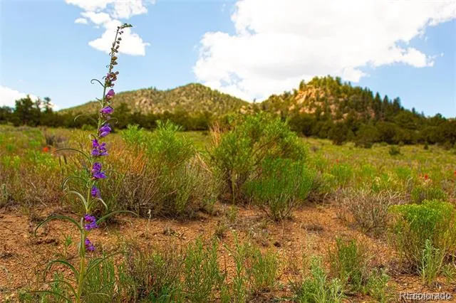 Lot 8 Big Sandy Estaes Buena Vista, CO 81211