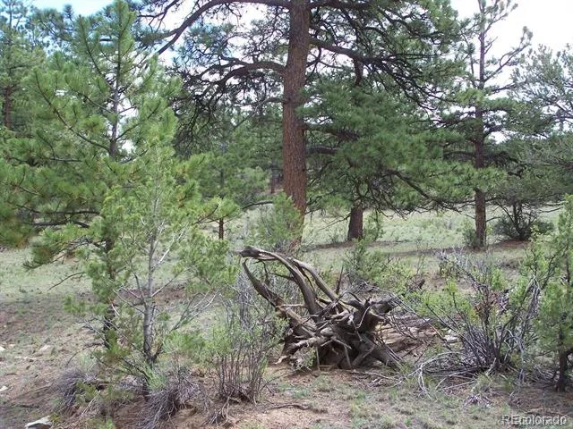 Lot 8 Big Sandy Estaes Buena Vista, CO 81211