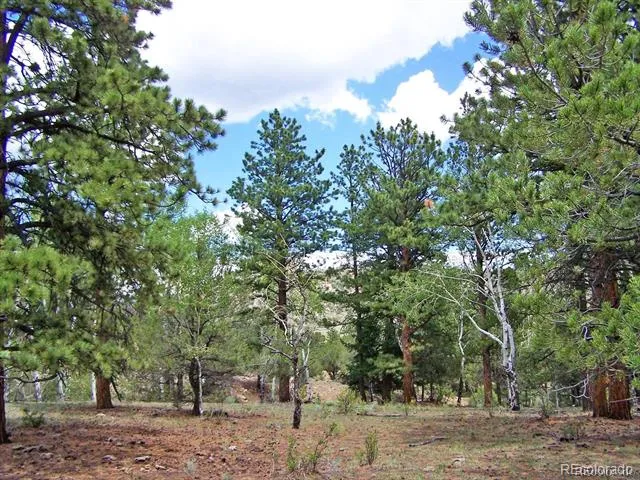 Lot 8 Big Sandy Estaes Buena Vista, CO 81211