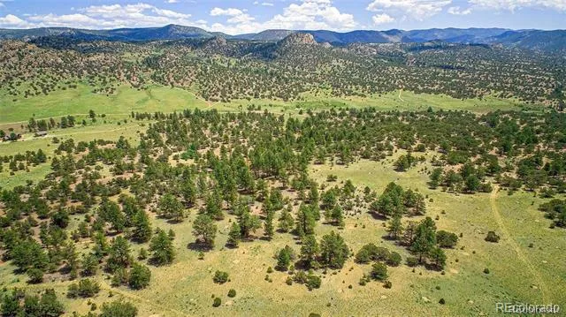 Lot 8 Big Sandy Estaes Buena Vista, CO 81211