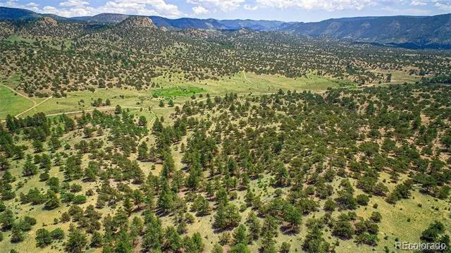 Lot 8 Big Sandy Estaes Buena Vista, CO 81211