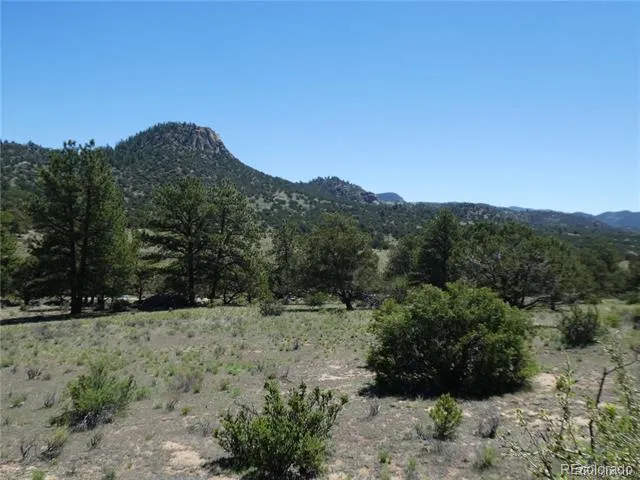 Lot 8 Big Sandy Estaes Buena Vista, CO 81211