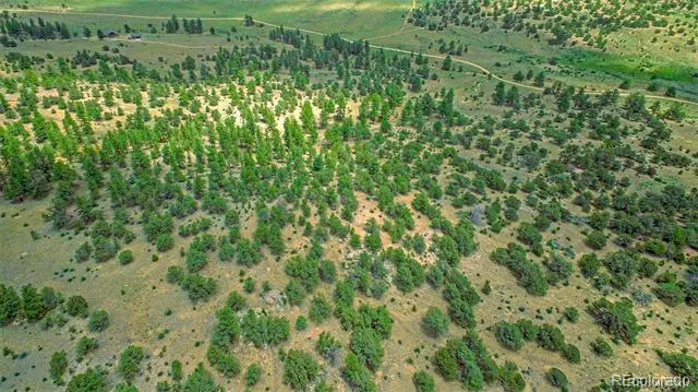 Lot 8 Big Sandy Estaes Buena Vista, CO 81211