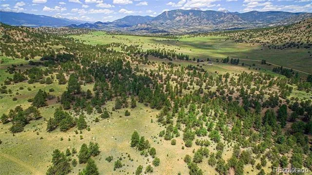 Lot 8 Big Sandy Estaes Buena Vista, CO 81211