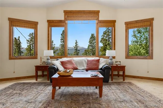 592 Ponderosa Road Alma, CO 80440