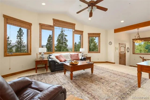 592 Ponderosa Road Alma, CO 80440