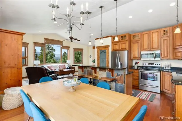 592 Ponderosa Road Alma, CO 80440