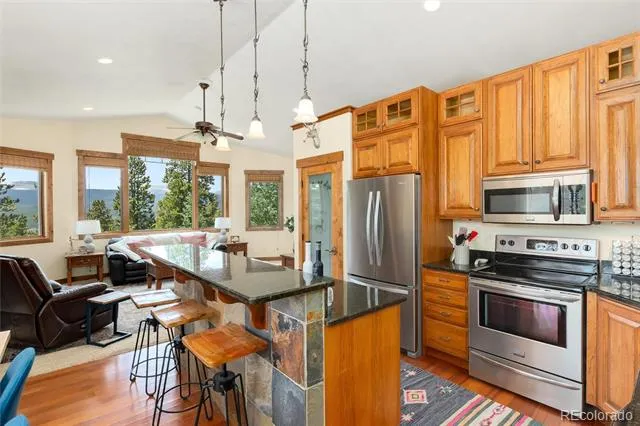 592 Ponderosa Road Alma, CO 80440