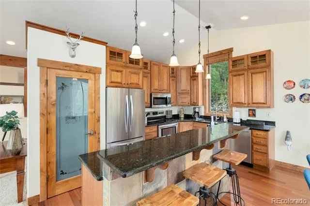 592 Ponderosa Road Alma, CO 80440